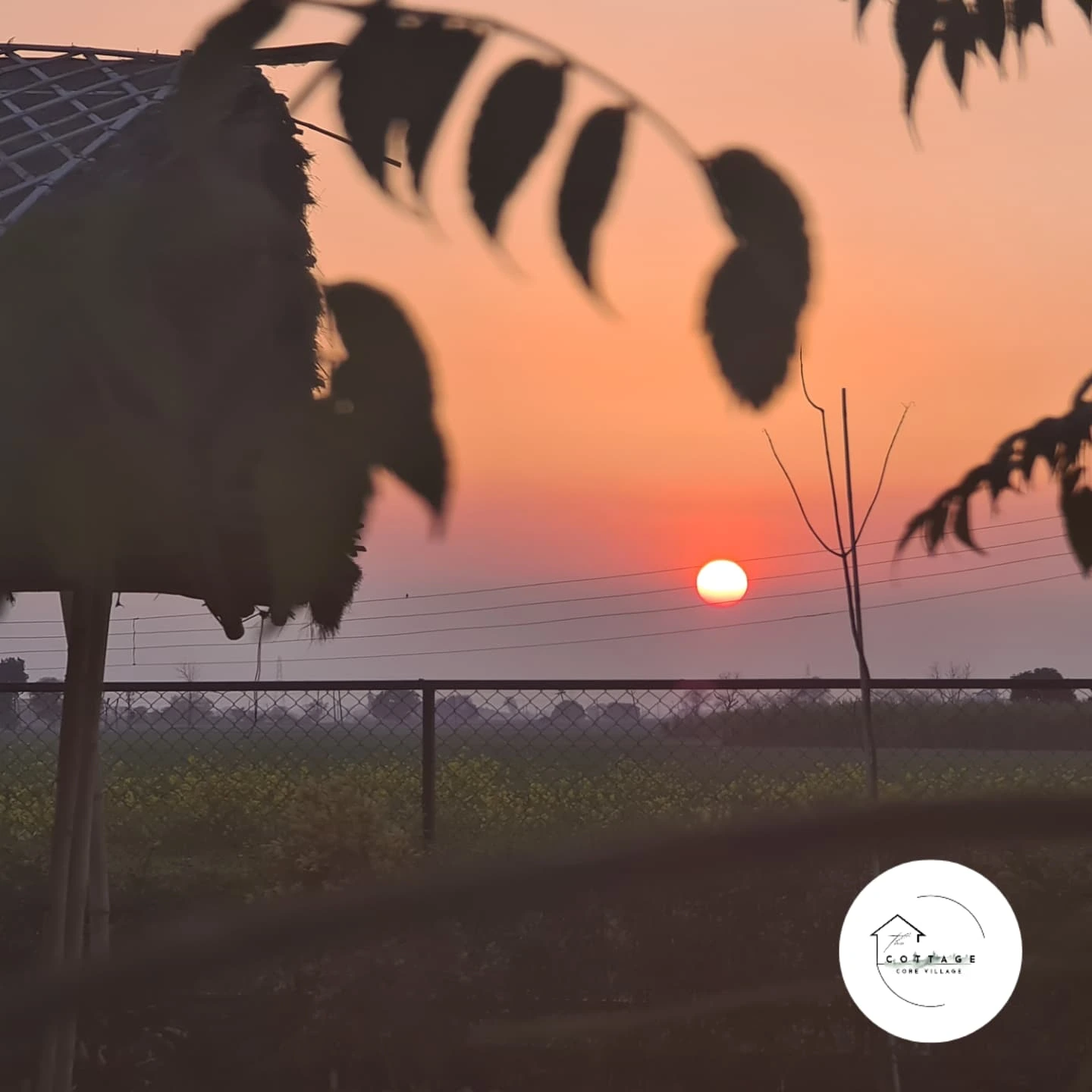 Sunset at The Cottage Core Village